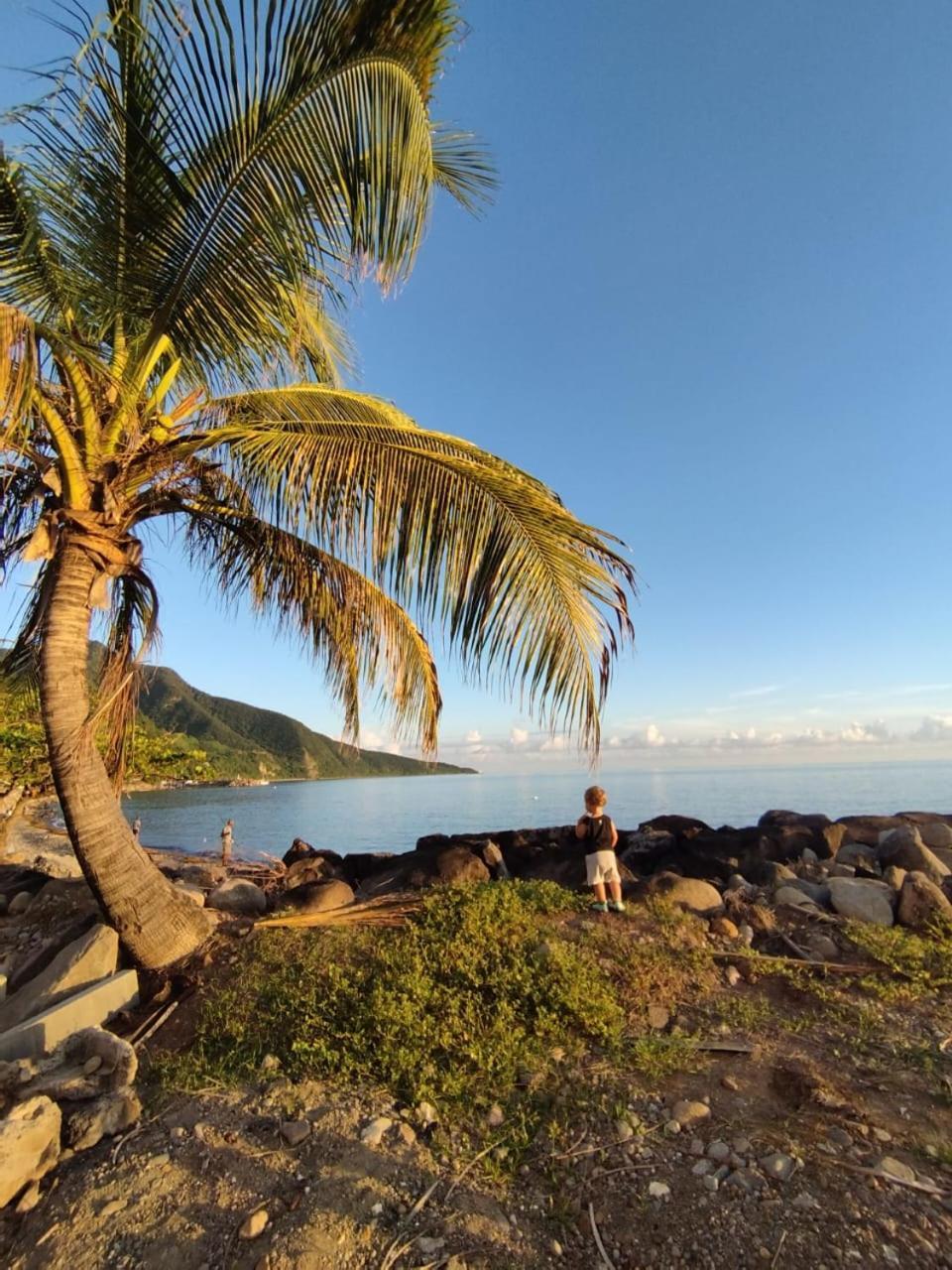 Kaz A Soley - Gite Vue Panoramique Sur La Mer - Plage A 500M Gourbeyre Esterno foto